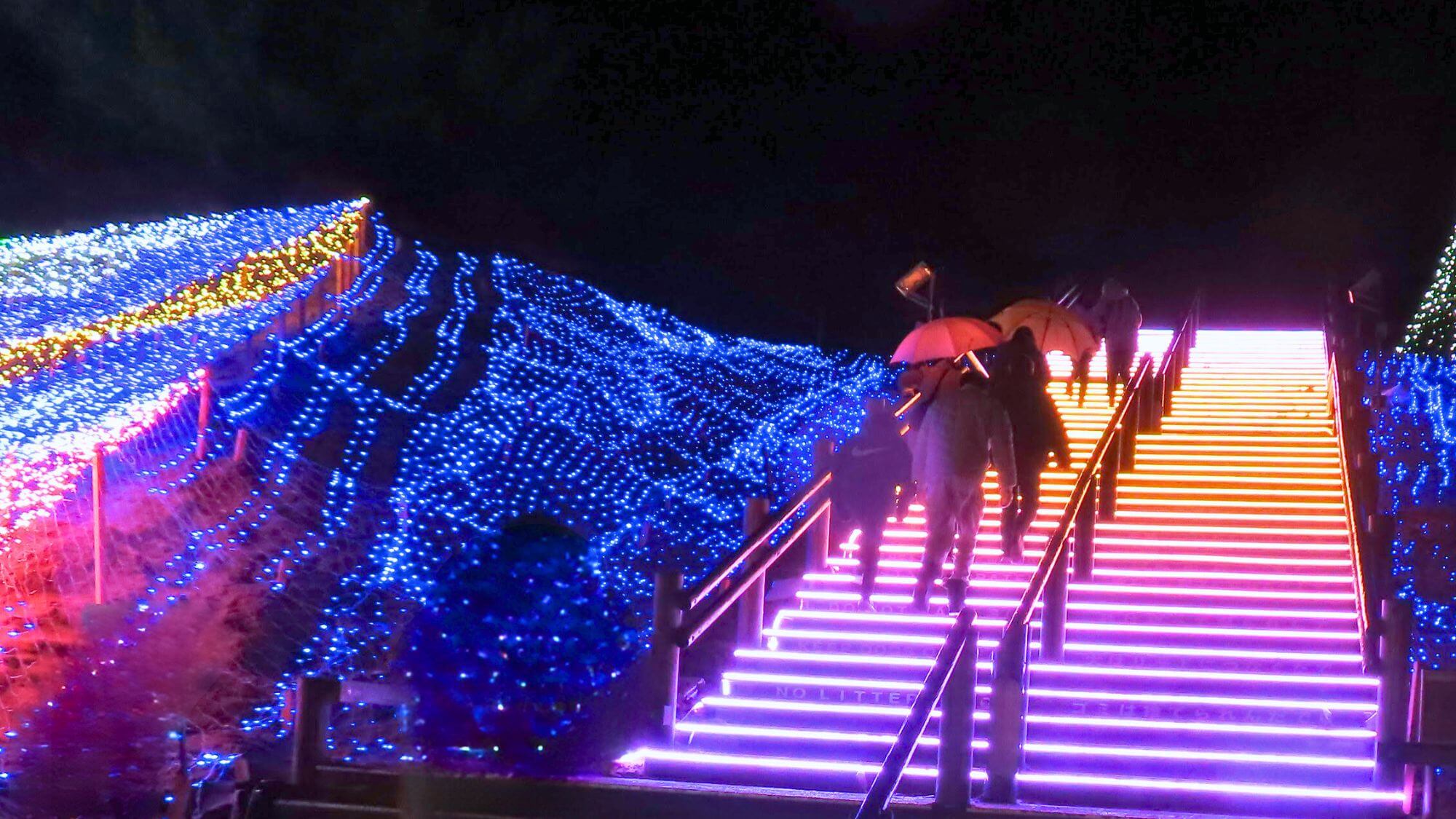 【鳥取砂丘イルミネーション】鳥取の冬の風物詩です。