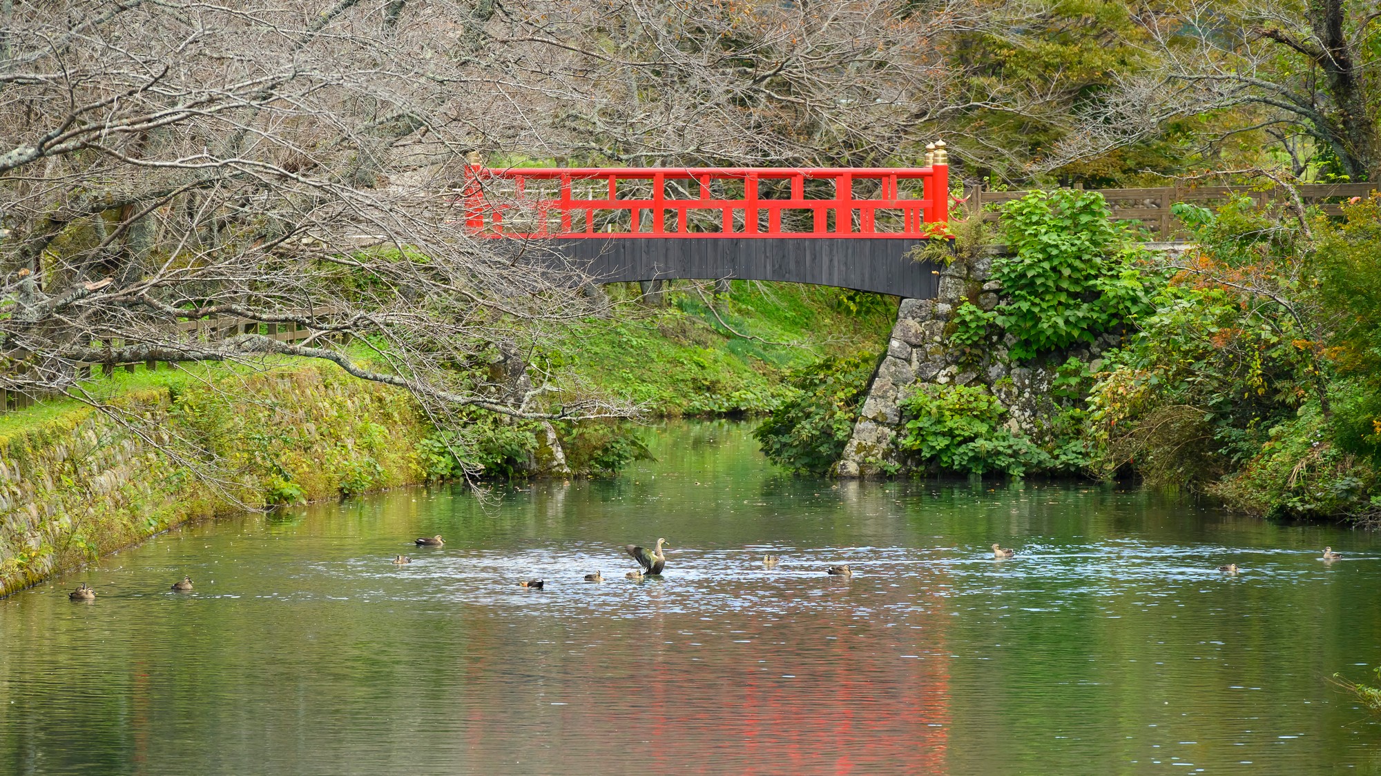 【鹿野城跡公園】山紫苑より車で6分、鹿野城主亀井茲矩（かめい・これのり）公の居城跡自然公園です。