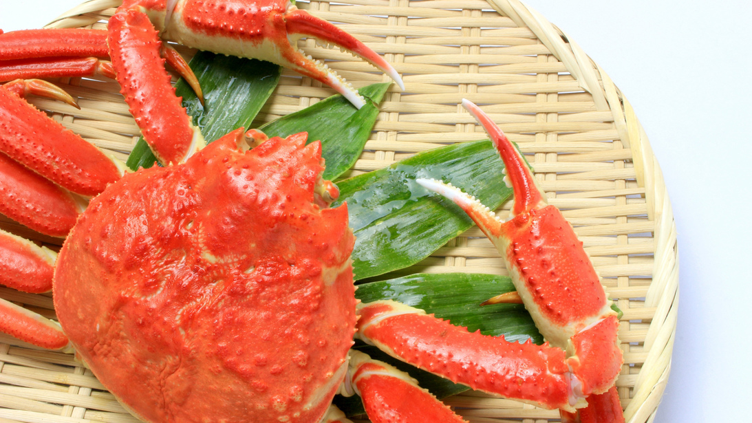 【食べ方自由！】新鮮活カニを好きな食べ方で満喫しちゃおう♪【タグ無しカニ】