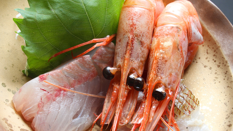 【カニを堪能！】ブランド活ガニをリーズナブルに♪タグ付き松葉ガニプランで大満足☆