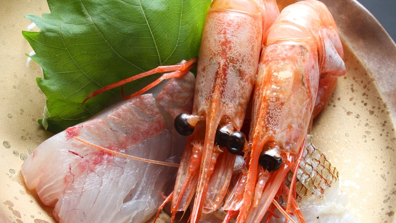 【カニを堪能！】ブランド活ガニをリーズナブルに♪タグ付き松葉ガニプランで大満足☆