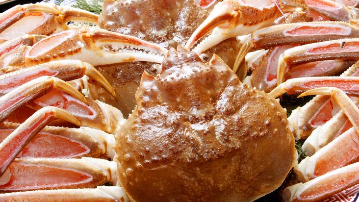 【味覚の王様】冬といえばカニ☆ブランド活ガニ使用！タグ付き松葉がにプラン