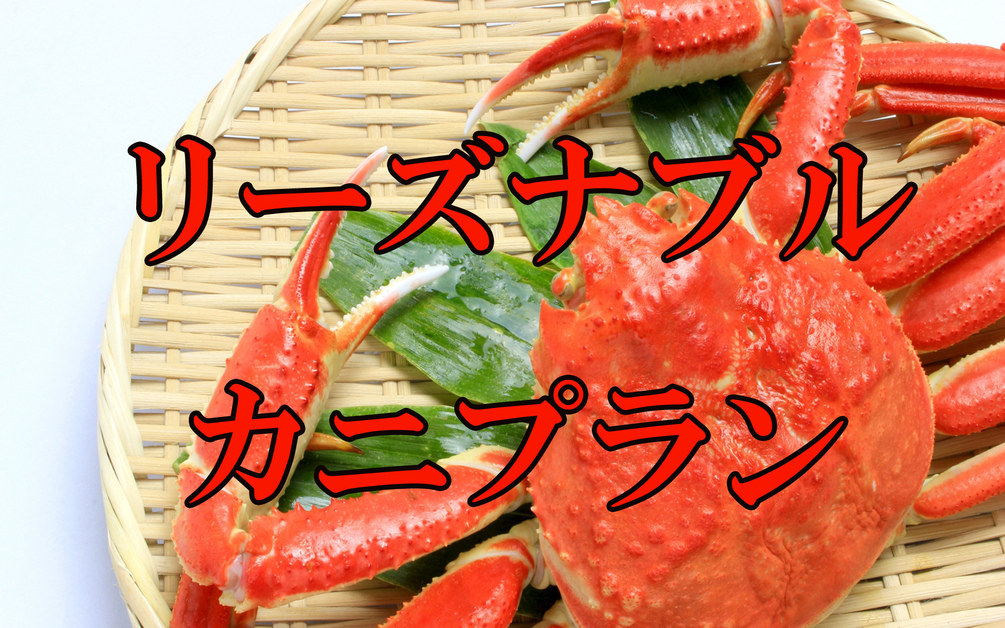 【蟹1人1杯】ズワイガニのカニ鍋堪能♪〆は雑炊！16100円〜とオトク！リーズナブルカニプラン