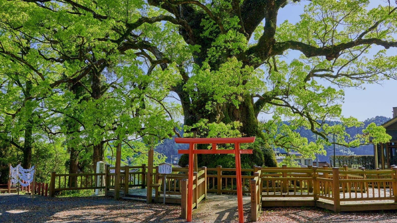 【２食付】（年末年始！GW！お盆！限定）特別な日に最高の思い出を〜全室檜風呂付き〜