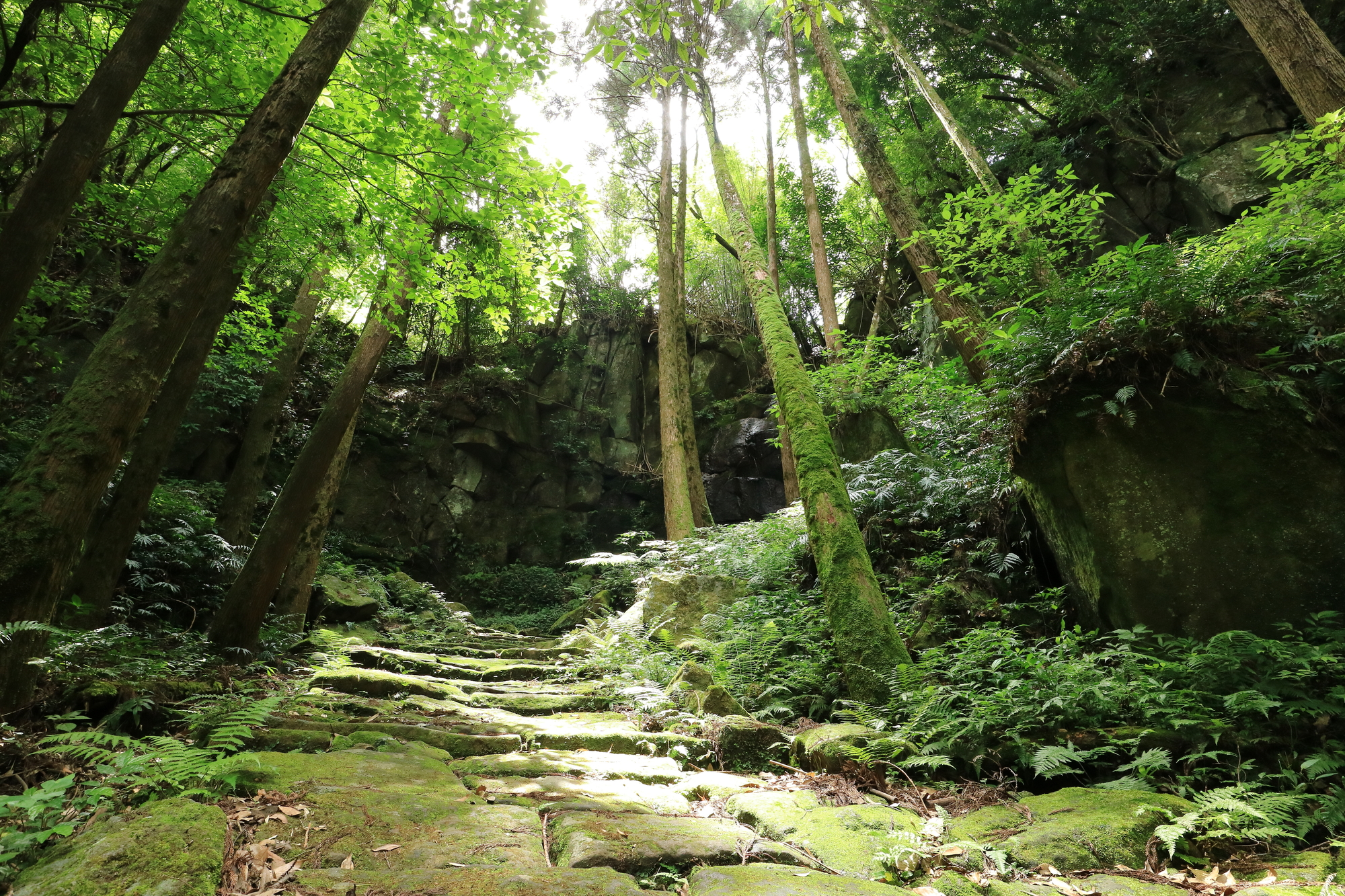 掛橋坂