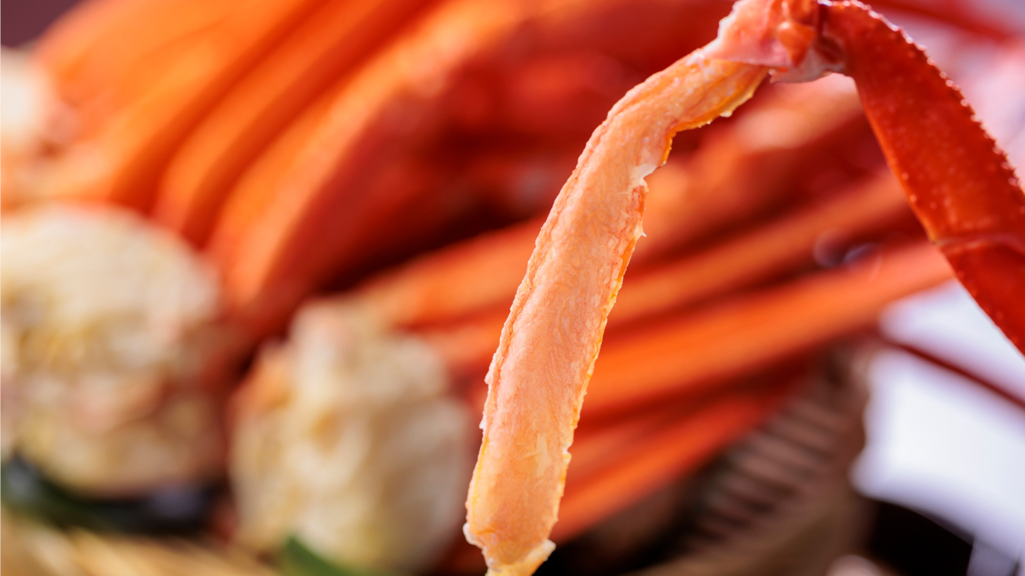 フォンタナディナー蟹ステーキ寿司イメージ