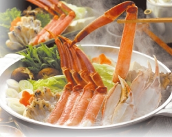 ずわい蟹（２.５杯）フルコースプラン