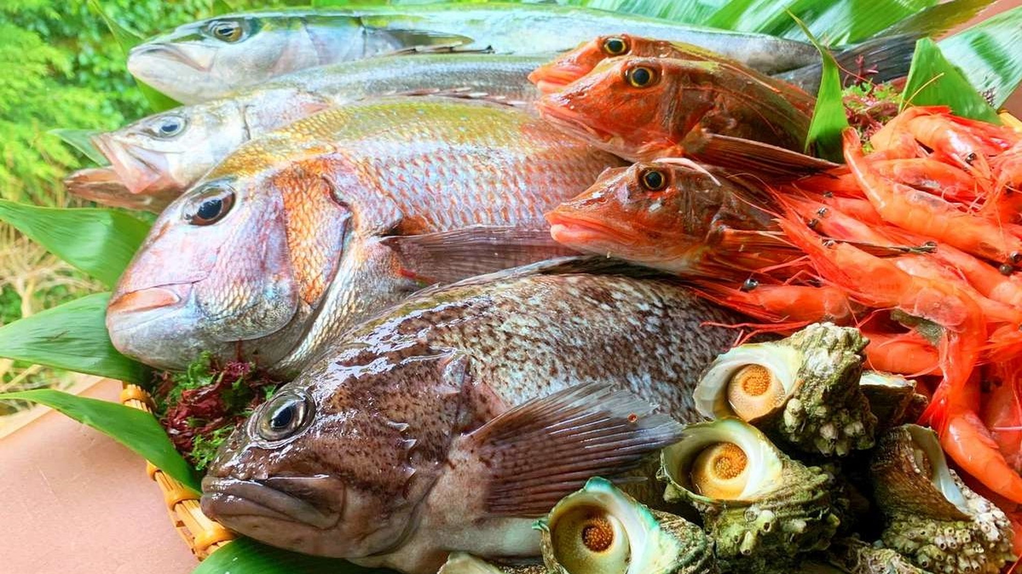 庄内で水揚げされた新鮮な魚をふんだんに使用した和会席膳がおすすめです