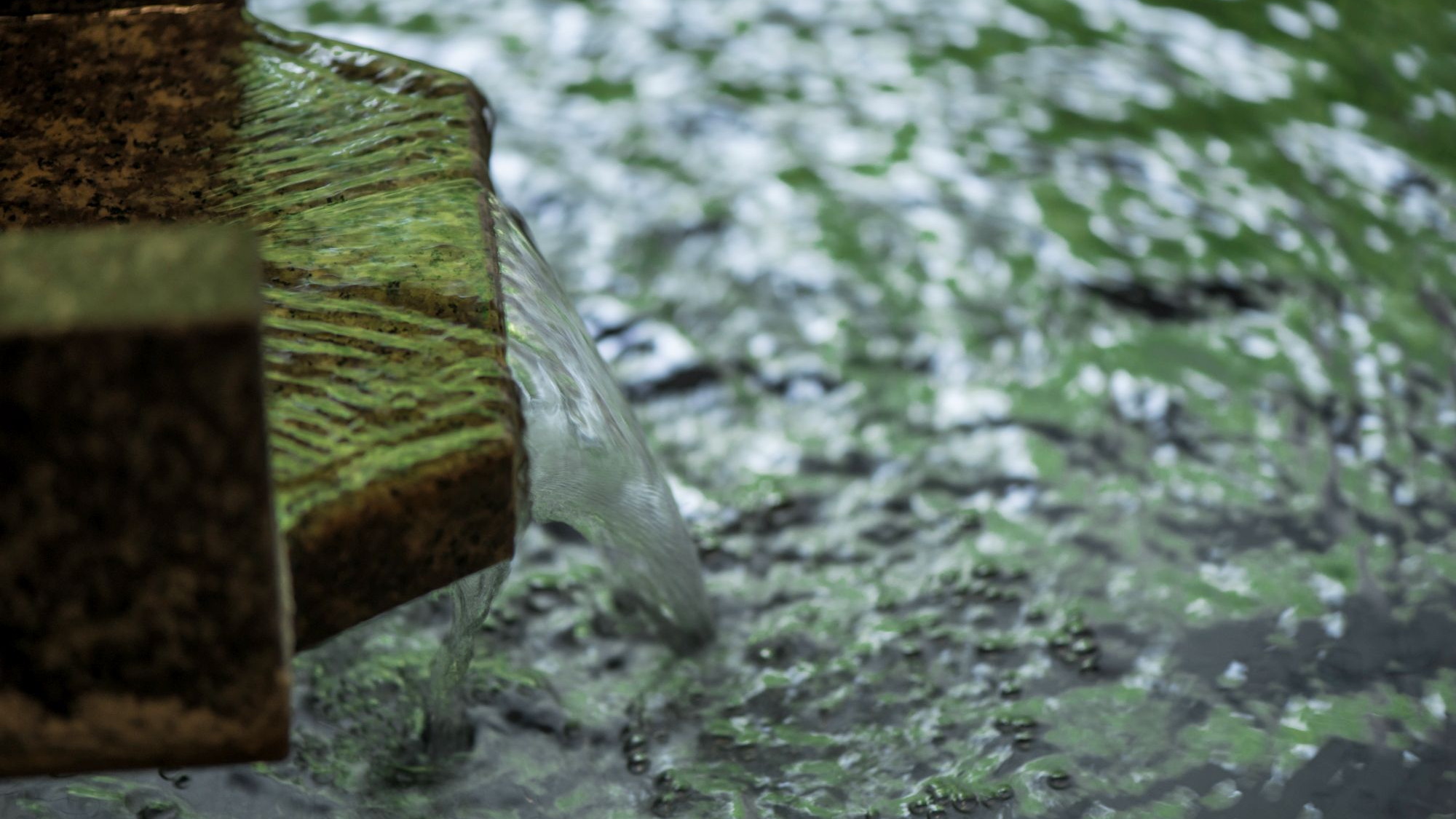 【貸切風呂】雛の湯