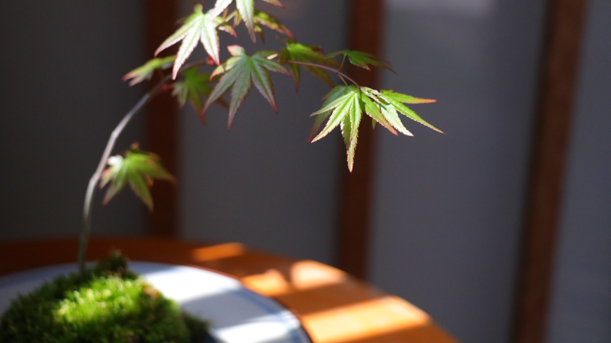 【イメージ】