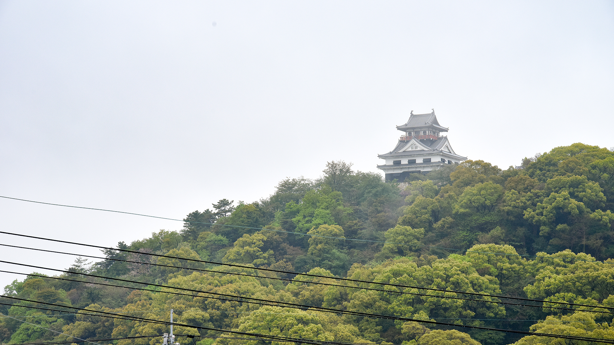 *【川之江城跡】客室によってはお部屋から川之江城を臨むことができます