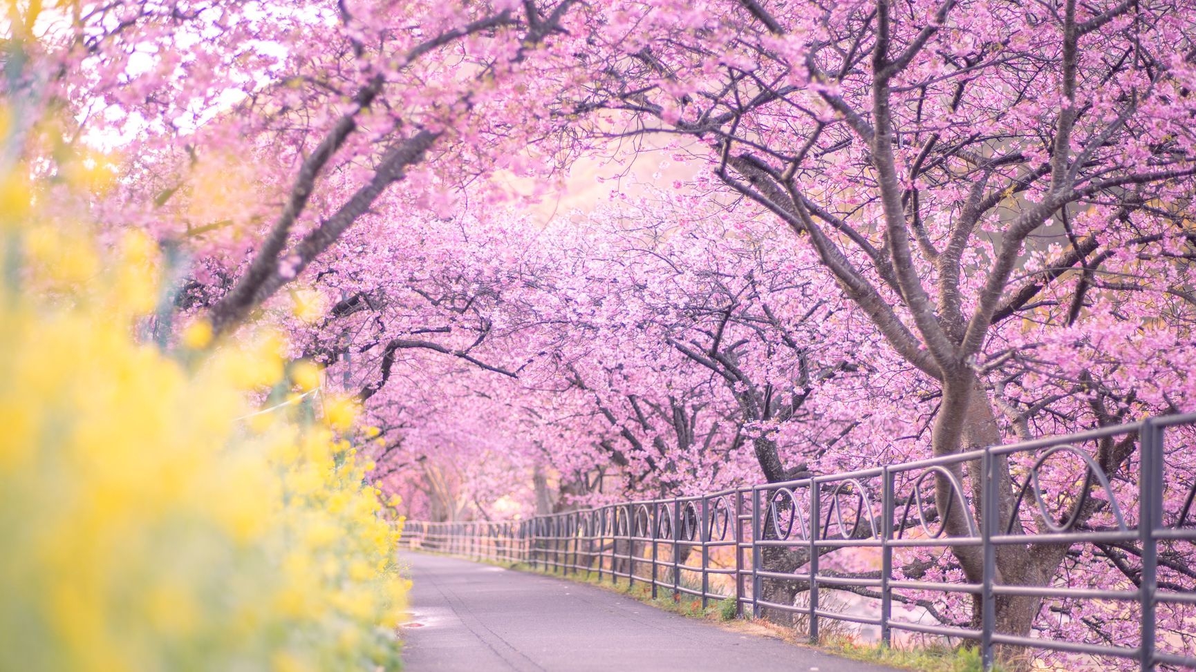 【リニューアル20周年】感謝を込めて金目鯛の煮付け50％OFF！【記念プラン第二弾！】