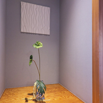 Japanese modern room alcove