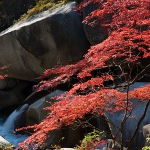 【紅葉】秋の昇仙峡
