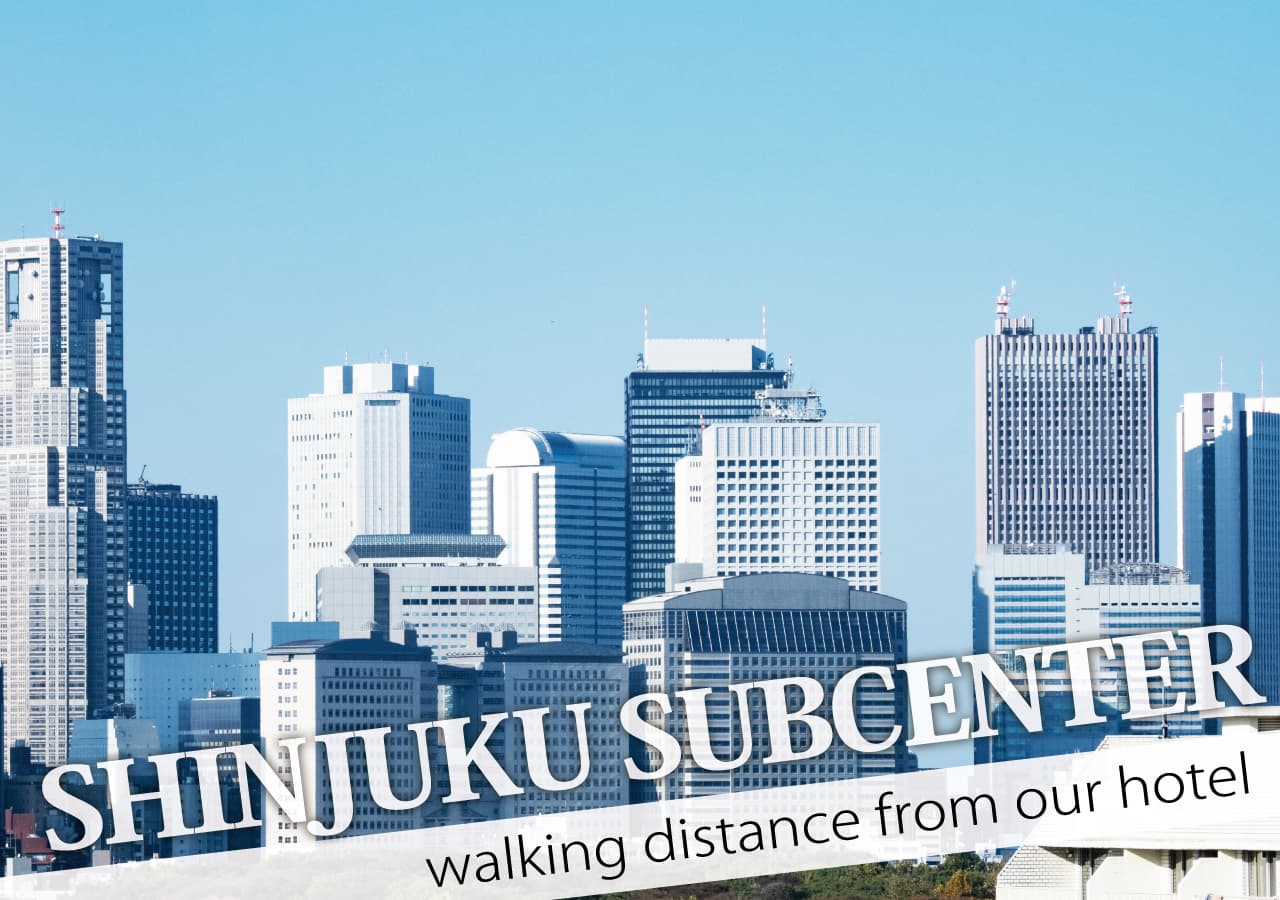 Shinjuku Subcenter（新宿副都心）