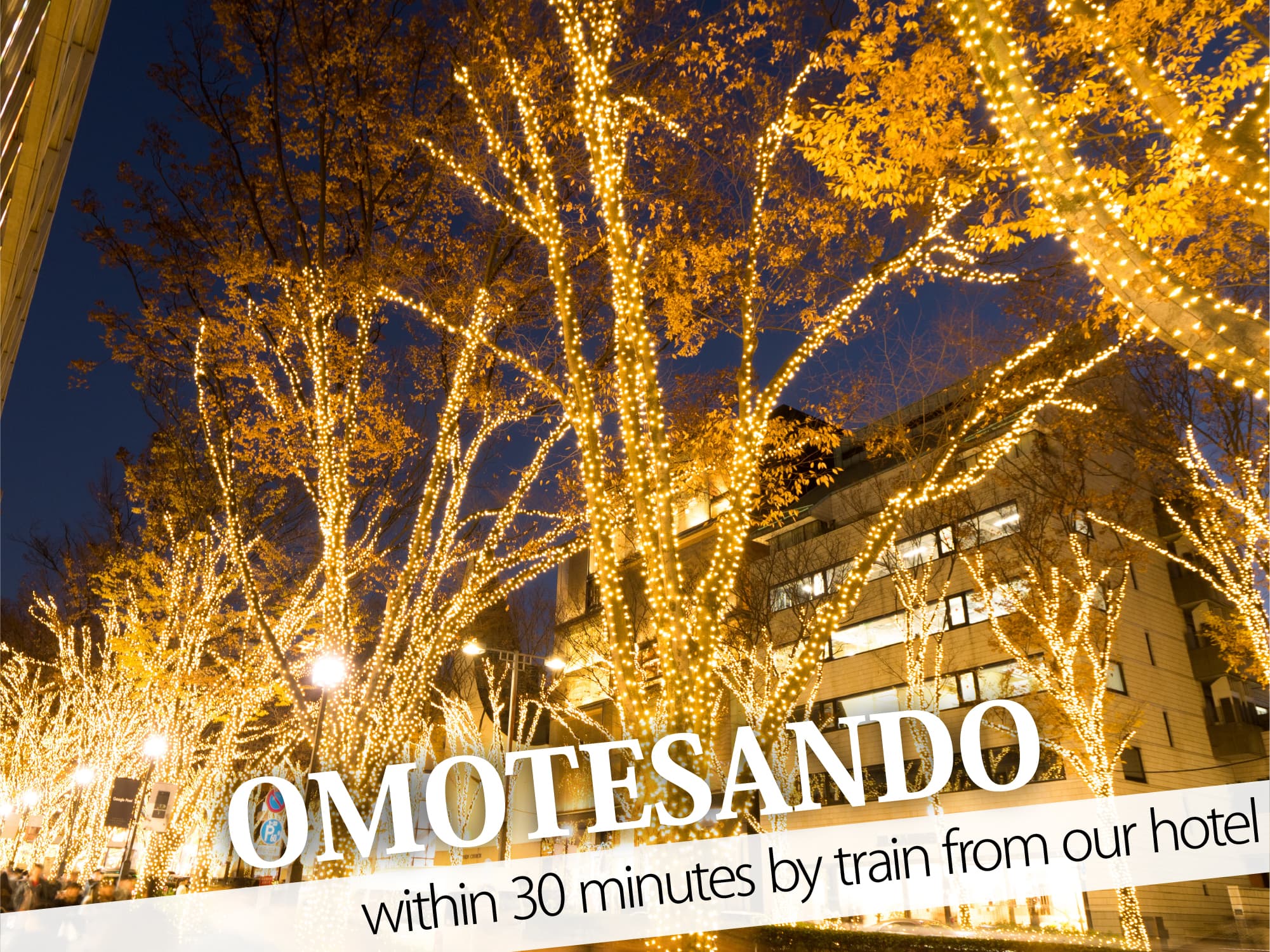 Omotesando（表参道）