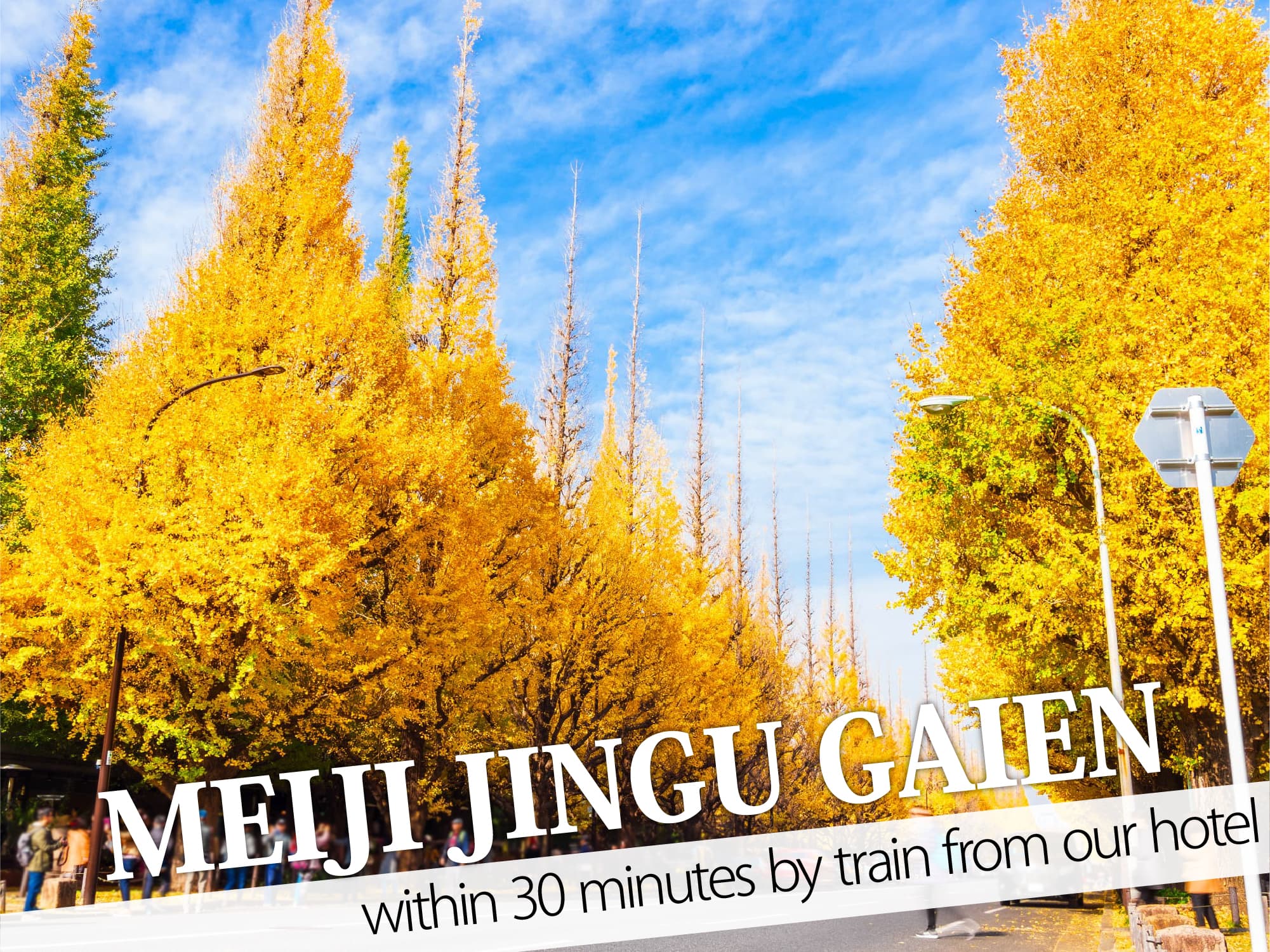 Meiji Jingu Gaien（明治神宮外苑）