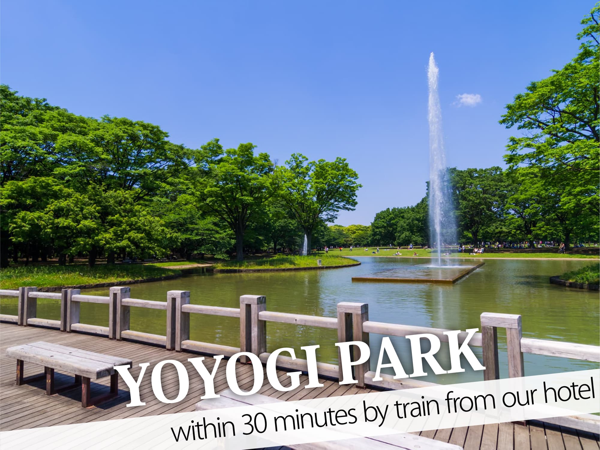 Yoyogi Park（代々木公園）
