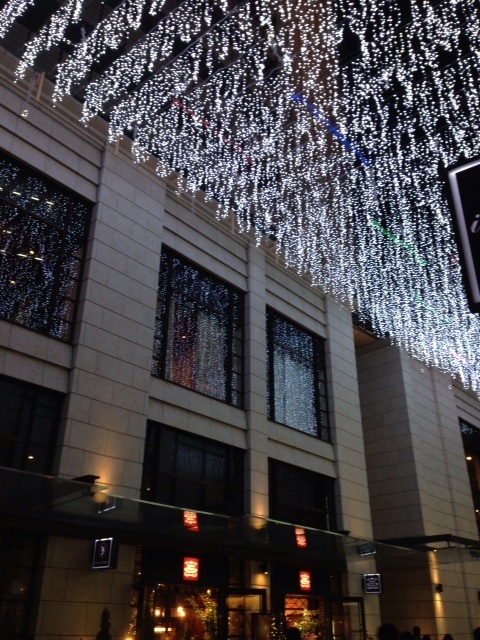 相鉄フレッサイン東京赤坂 - 写真 76