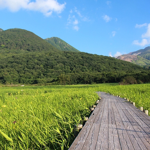 タデ原湿原：当館よりお車で30分。九重火山の湧水地できた湿原。九重の自然を眺めながら木道散策はいかが