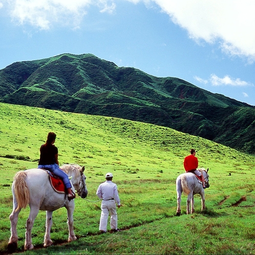 アクテビティ：普段なかなかできない乗馬体験。大草原の中をゆっくり馬に乗って阿蘇を満喫して下さい。