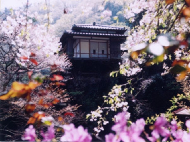 行道山浄因寺