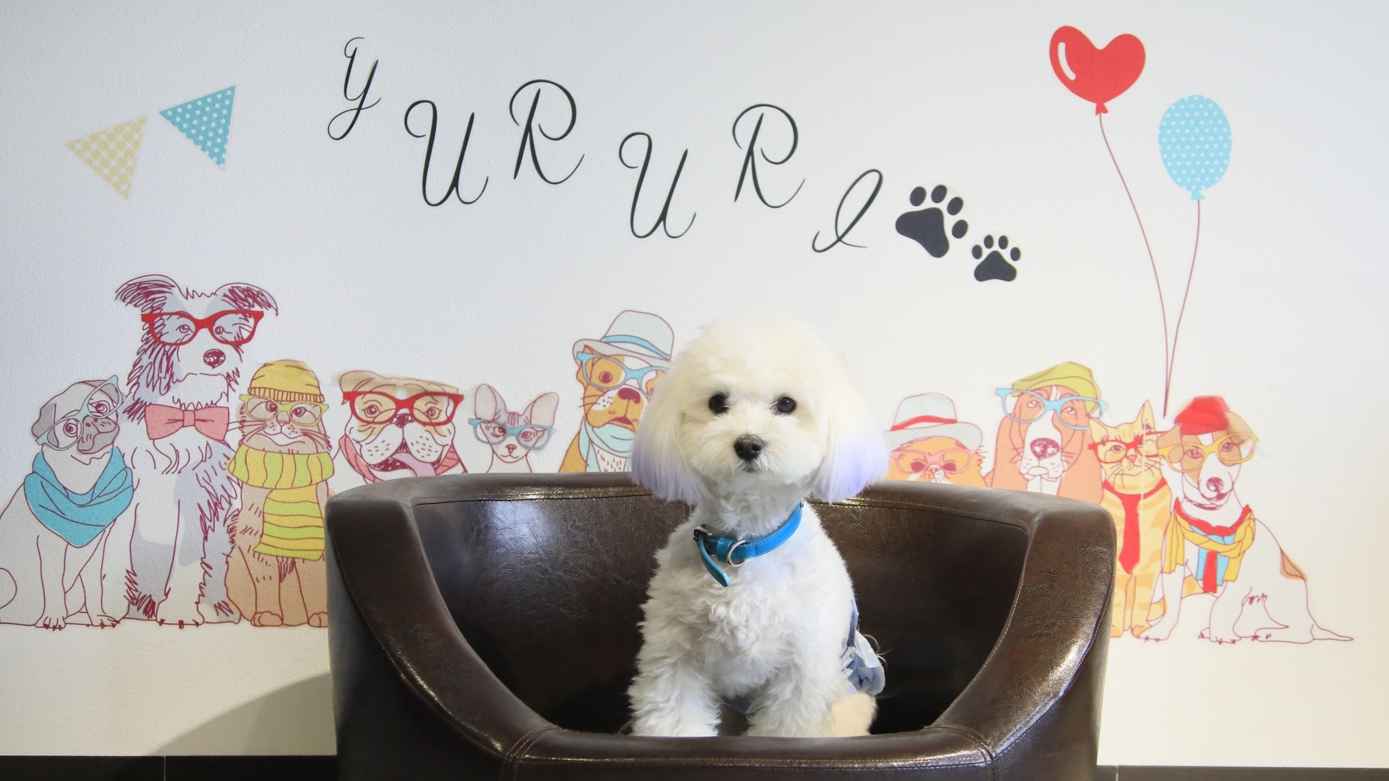 【直前割×最上級会席】ワンちゃん利用料無料！直前に決まった愛犬との旅行に♪＜●最上級地獄会席＞