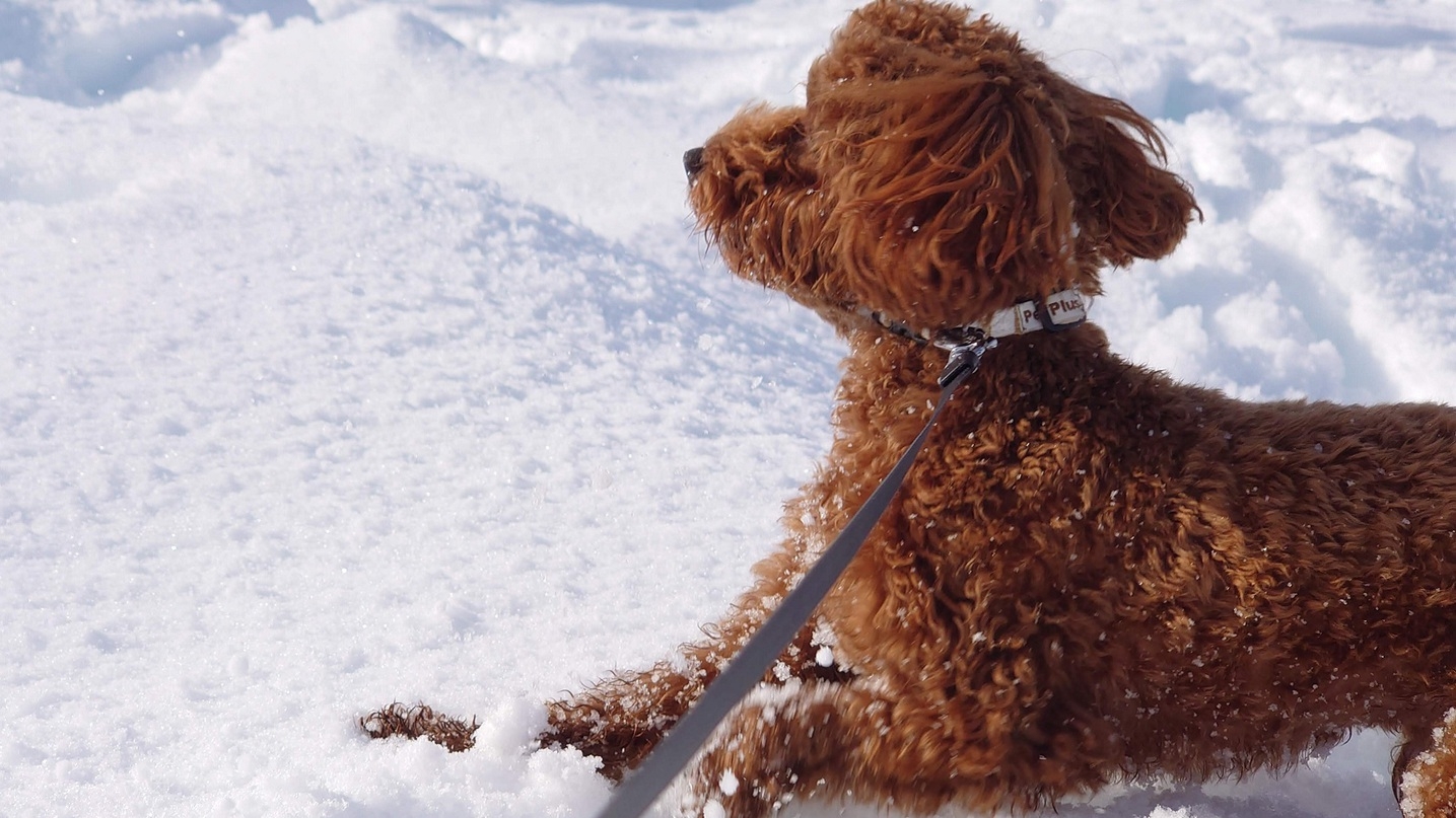 【冬SALE】＜最大20％OFF＞全室離れの露天風呂付客室で大分の旬の会席を堪能【■特選地獄会席】