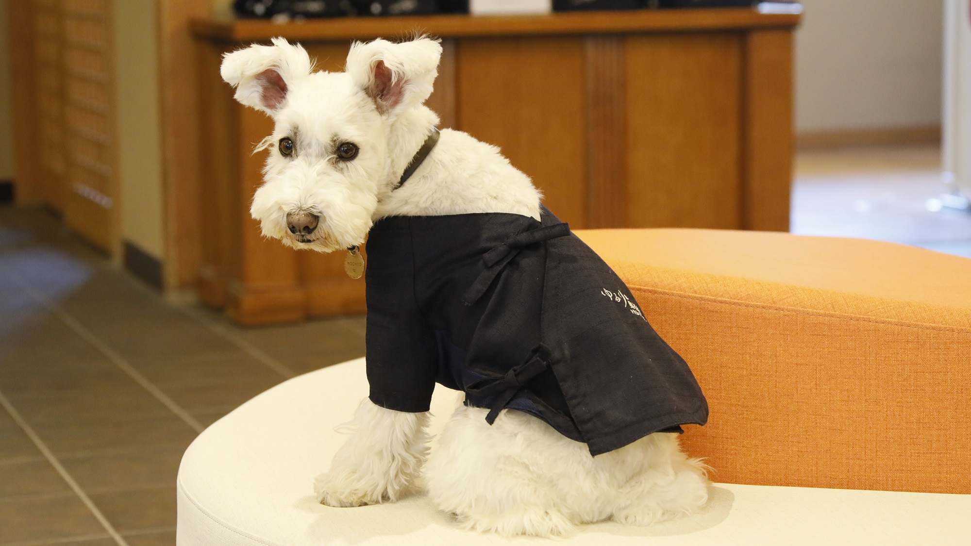 【ワンちゃん用作務衣】当館のロゴが入ったオリジナルデザインとなっております（一例）