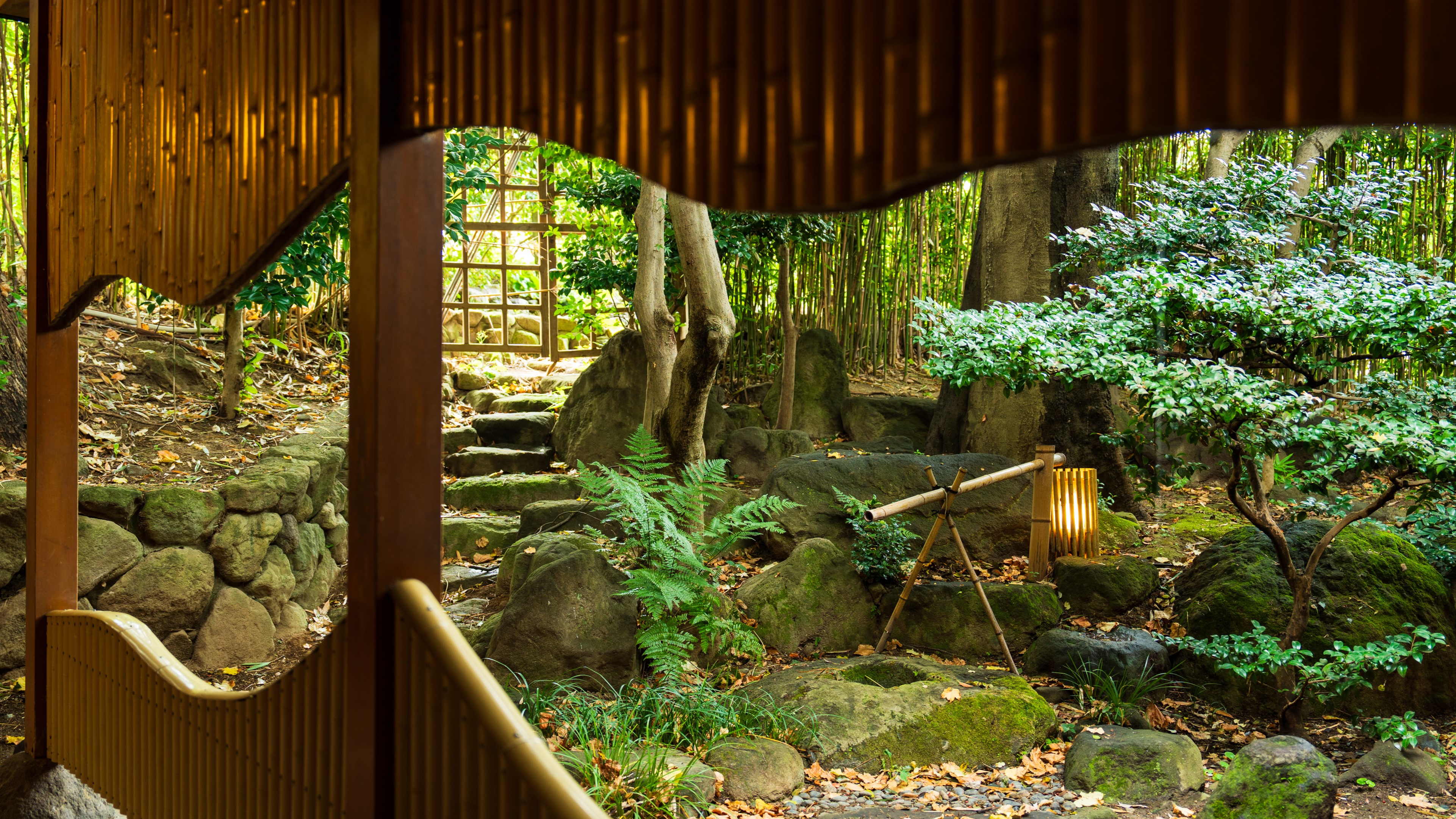 趣きのある館内の景観