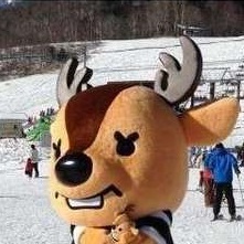 【学割2000円引き・リフト1日券特典付きプラン】ログハウスの宿泊とスキー＆スノボーをお得に楽しもう