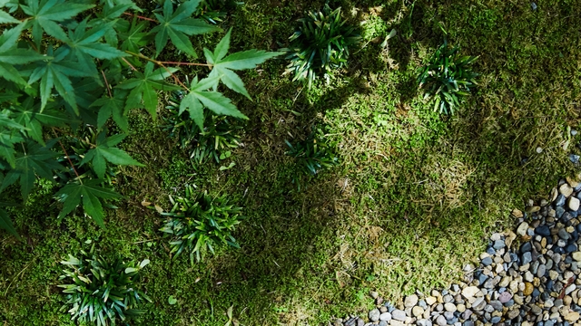 【5/1〜5/6のご予約はこちら】旬の地産美食逸品×極上蕎麦◆GWは粋なオトナの贅沢旅