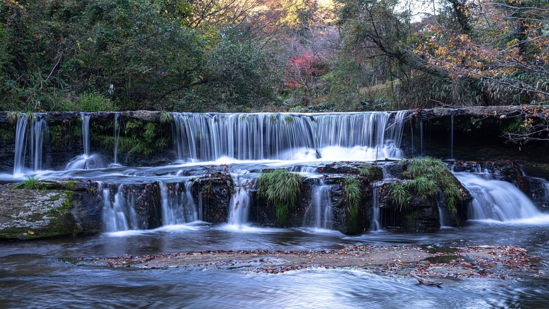 【滝乃荘◆量控えめコース】料理長が厳選する富山の旬の食材 シニアや女性におすすめ♪【お料理高評価】