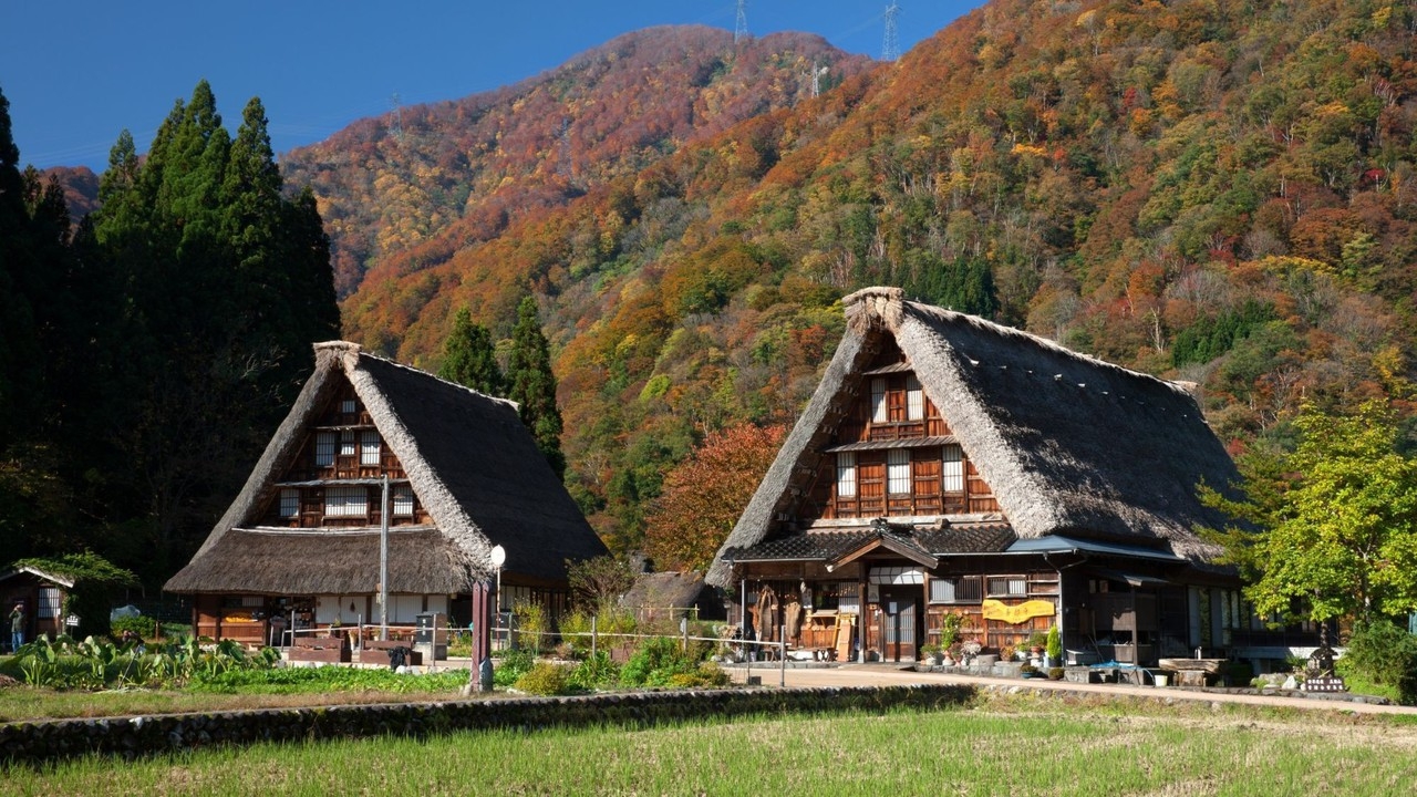 【秋色会席】とやま秋の恵みを凝縮！新米、栗、松茸など、地物の旬を味わう季節の特別会席！