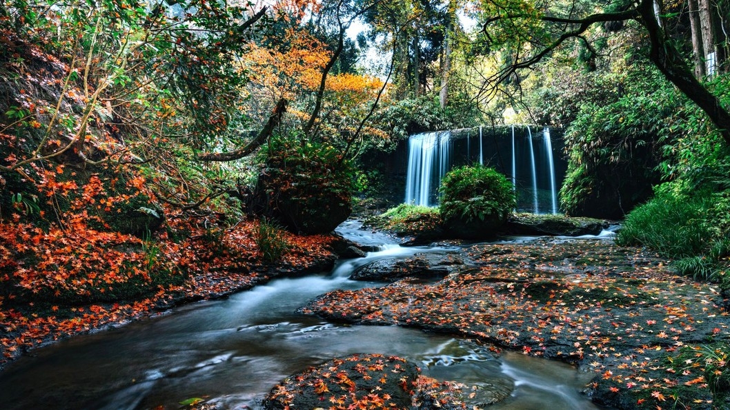 【秋色会席】とやま秋の恵みを凝縮！新米、栗、松茸など、地物の旬を味わう季節の特別会席！
