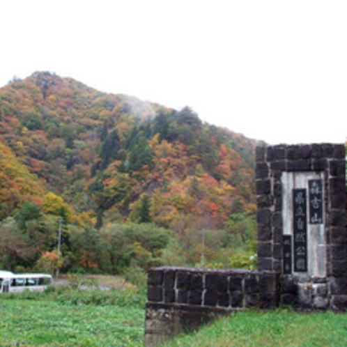 *【森吉山】美しく色づく秋の森吉山