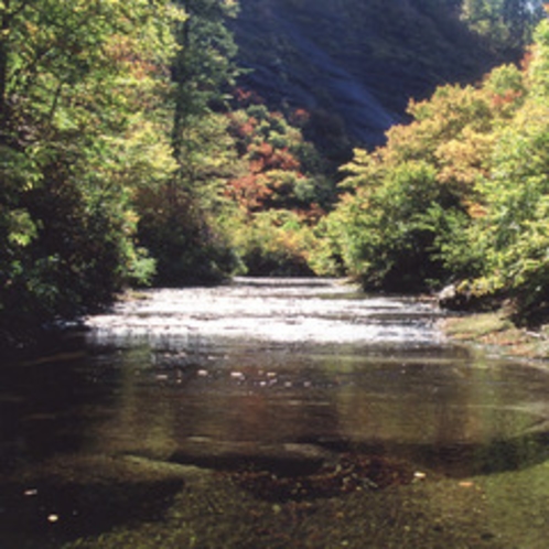 【周辺観光】天国の散歩道「赤水渓谷」秋のコントラストが美しい。