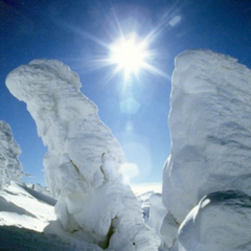 *【樹氷】冬の期間しか見ることのできない、雪と氷の芸術です。