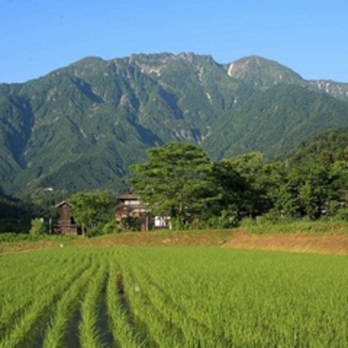 グリーンシーズン霊峰八海山