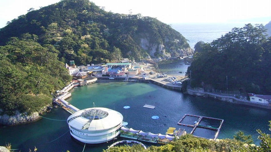 下田海中水族館は伊豆のきれいな海をそのまま生かした水族館です