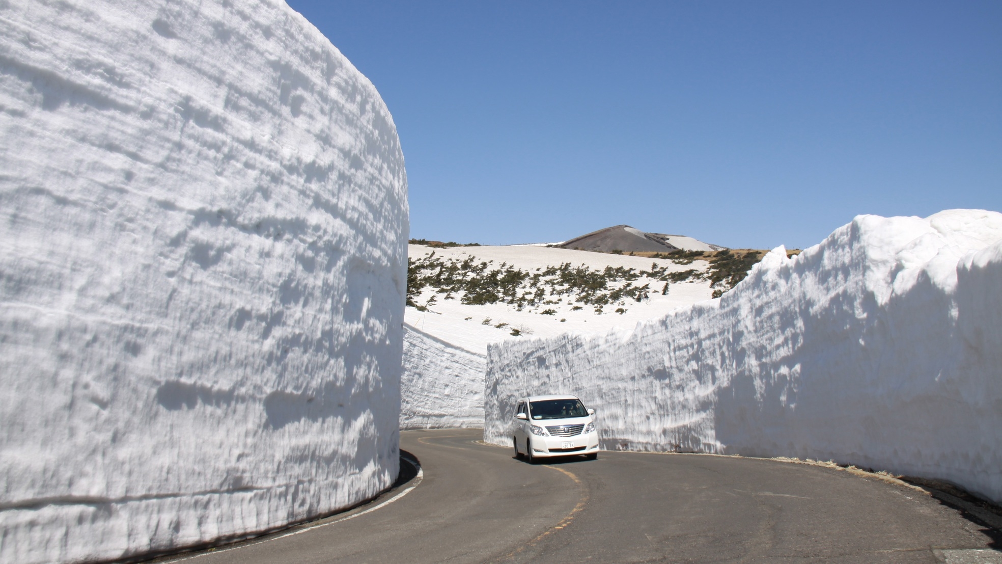 【蔵王雪の壁ウォーク2025】ツアー応援♪  宿泊プラン！遠刈田温泉ご宿泊者限定コース