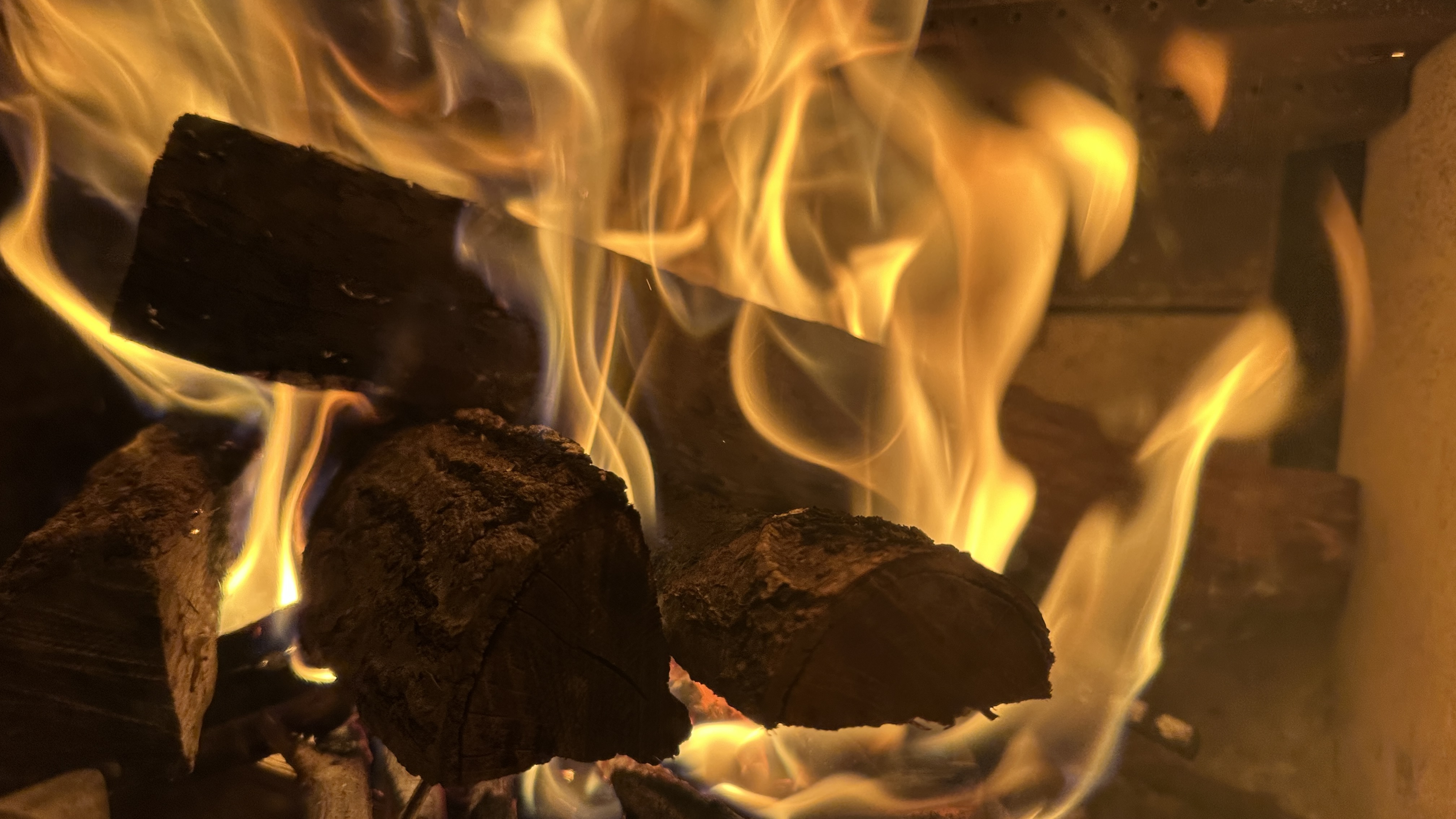 RVパーク（薪）