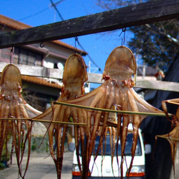 日間賀島 季の島宿 大田 写真 動画 楽天トラベル 日間賀島 季の島宿 大田 写真 動画 楽天トラベル