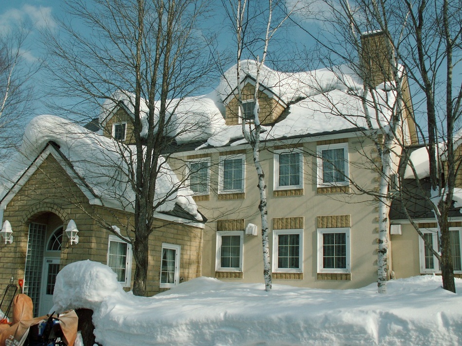 Winter Appearance