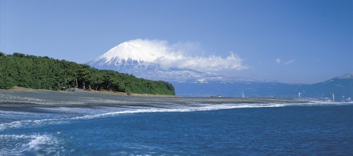 静鉄ホテルプレジオ　静岡駅南 - 写真 276