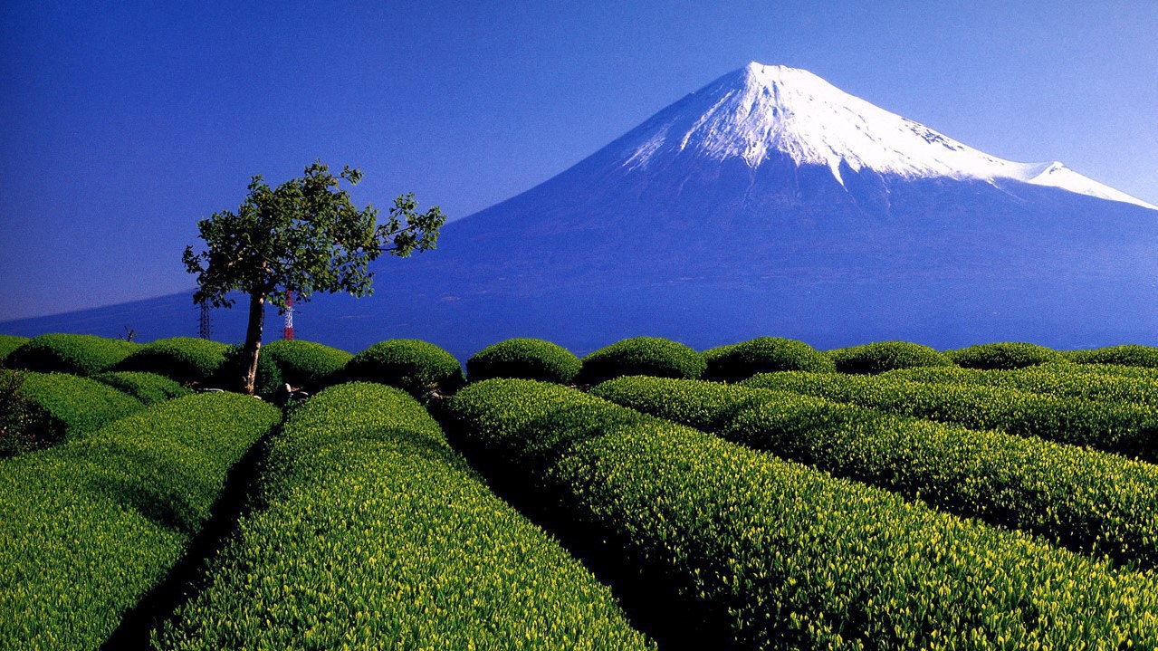 富士山②