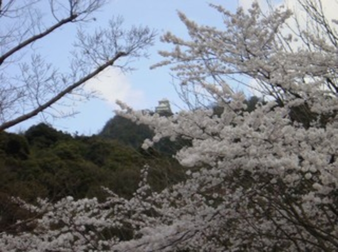 金華山岐阜城