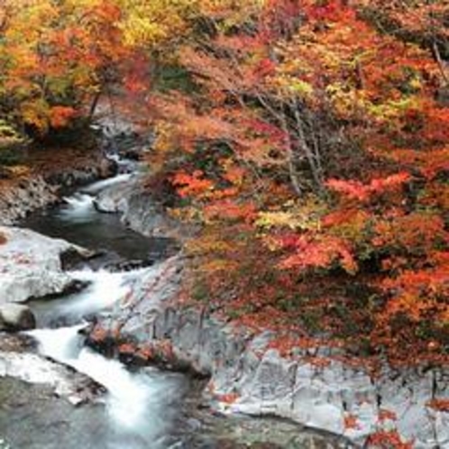 錦秋の中津川渓谷