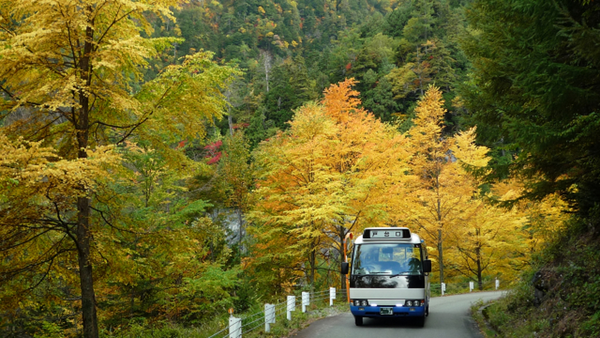 *【南アルプス林道バス】戸台パーク～北沢峠走行。仙丈ヶ岳など人気百名山の登山にご利用ください
