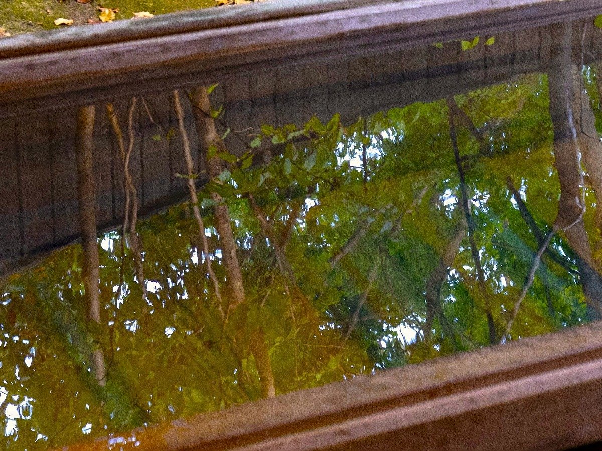 露天風呂＋半露天風呂付き離れ和洋室†白菫†